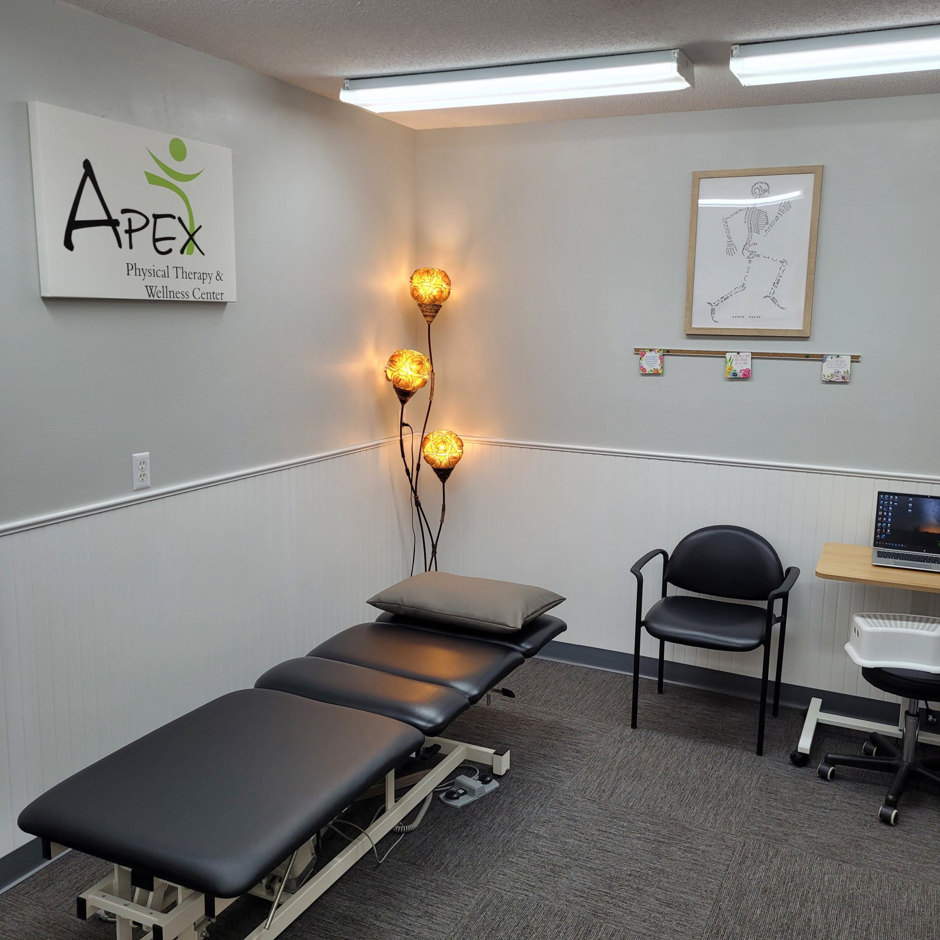 A clean and professional LaMoure physical therapy room with modern equipment and a warm lighting ambiance.